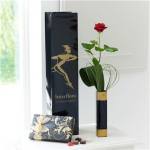 Red Single Rose Gift Set